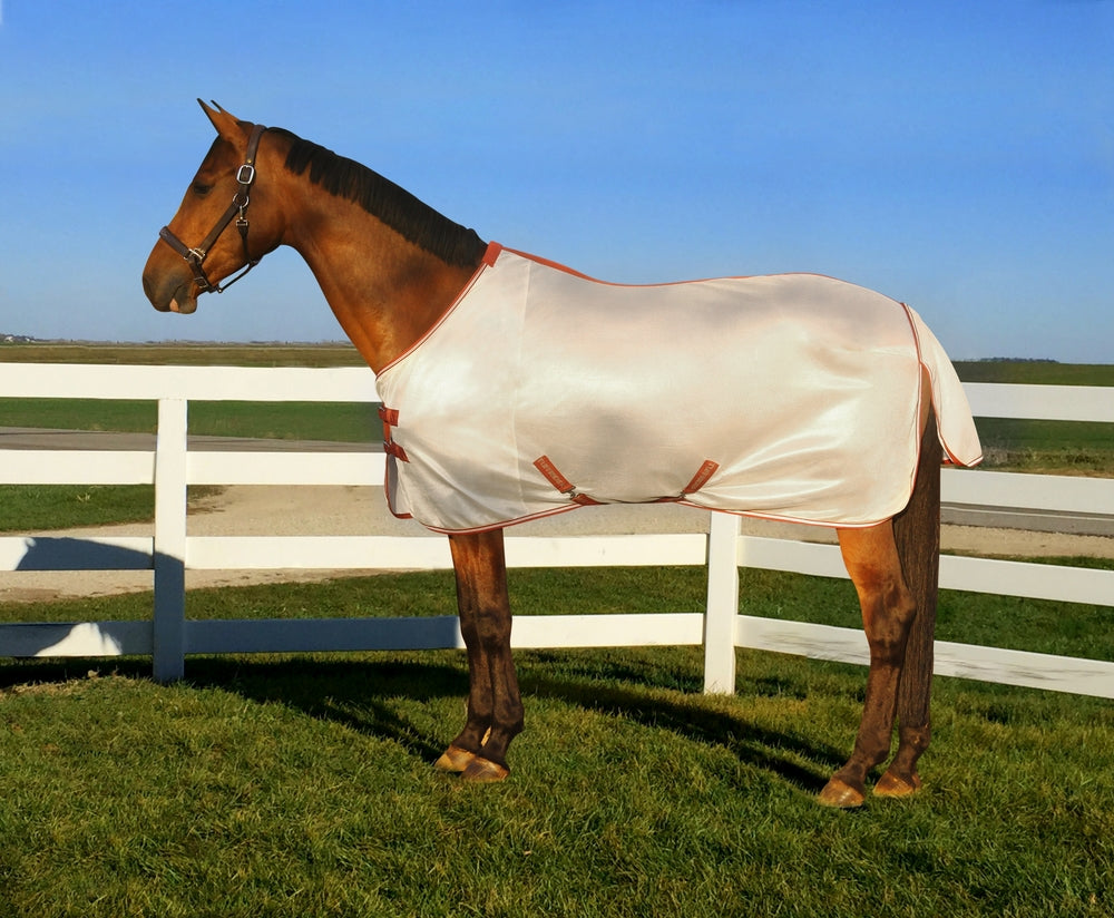 HORSE CLOTHING
