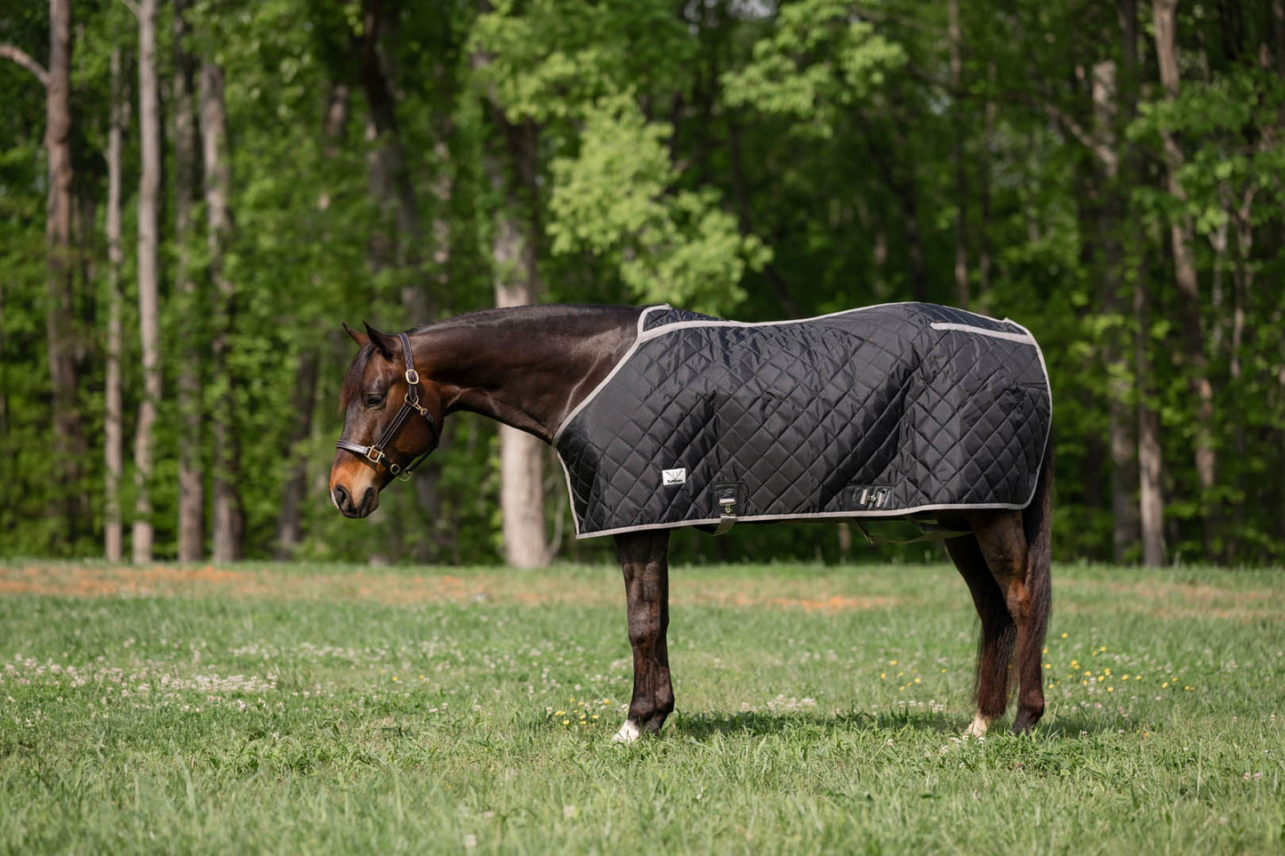 TuffRider Shelter Closed Front Medium Weight Stable Blanket