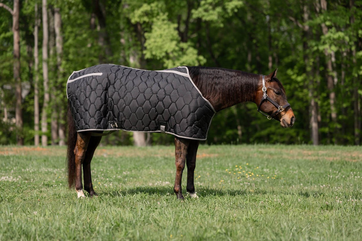 TuffRider Shelter Closed Front Heavyweight Stable Blanket