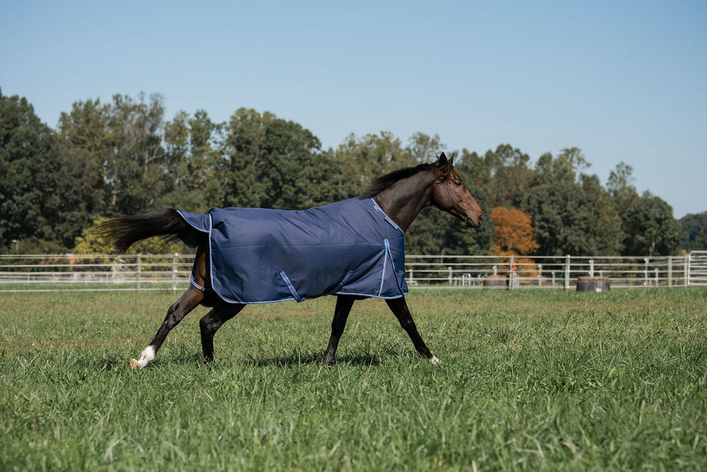 TuffRider Comfy Fit 1200 D RipStop Waterproof/Breathable Comfy Winter Turnout Blanket Medium Weight 200 GSM Standard Neck W/Adjustable Neck - Single Sheet