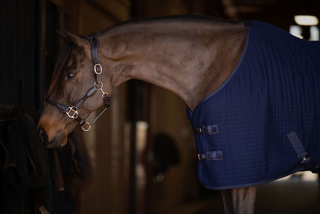 TuffRider ThermoManager Stable Blanket - JPC Equestrian.com