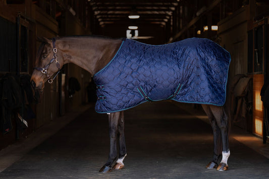 TuffRider Comfy Standard Neck Medium Weight Stable Blanket- 420D, 150GSM - JPC Equestrian.com