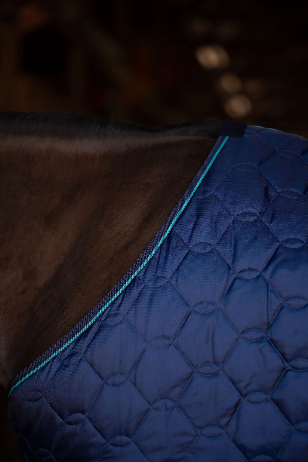 TuffRider Comfy Standard Neck Medium Weight Stable Blanket- 420D, 150GSM - JPC Equestrian.com