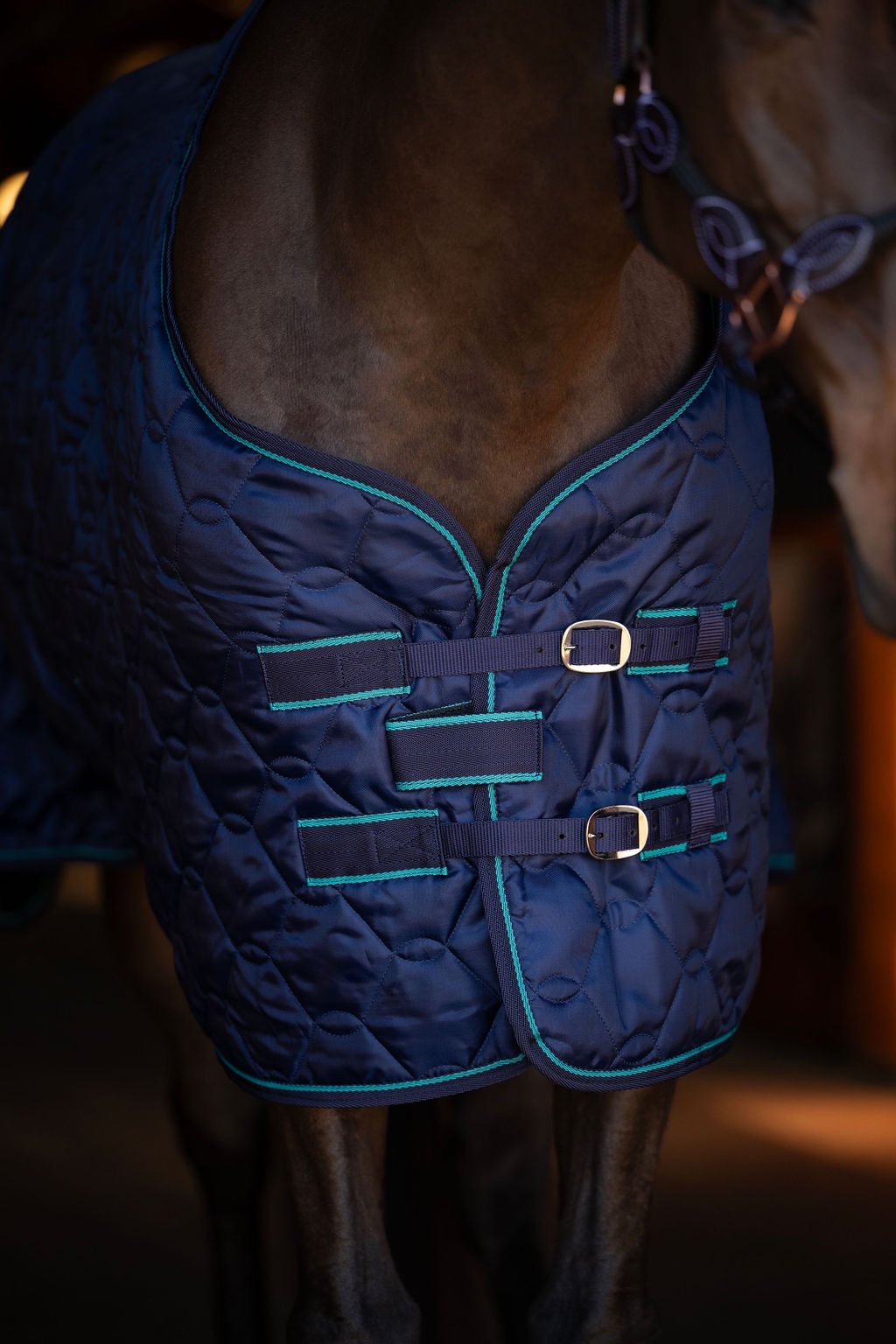 TuffRider Comfy Standard Neck Medium Weight Stable Blanket- 420D, 150GSM - JPC Equestrian.com