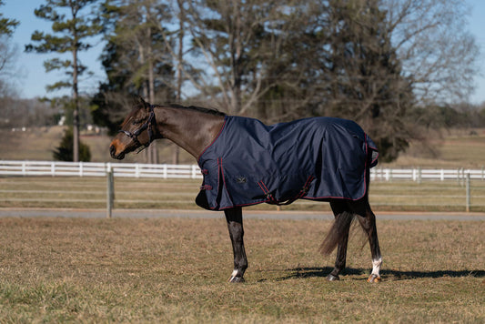 TuffRider Ripstop Standard Neck LightWeight Turnout Blanket with 100 GSM Fill - JPC Equestrian.com