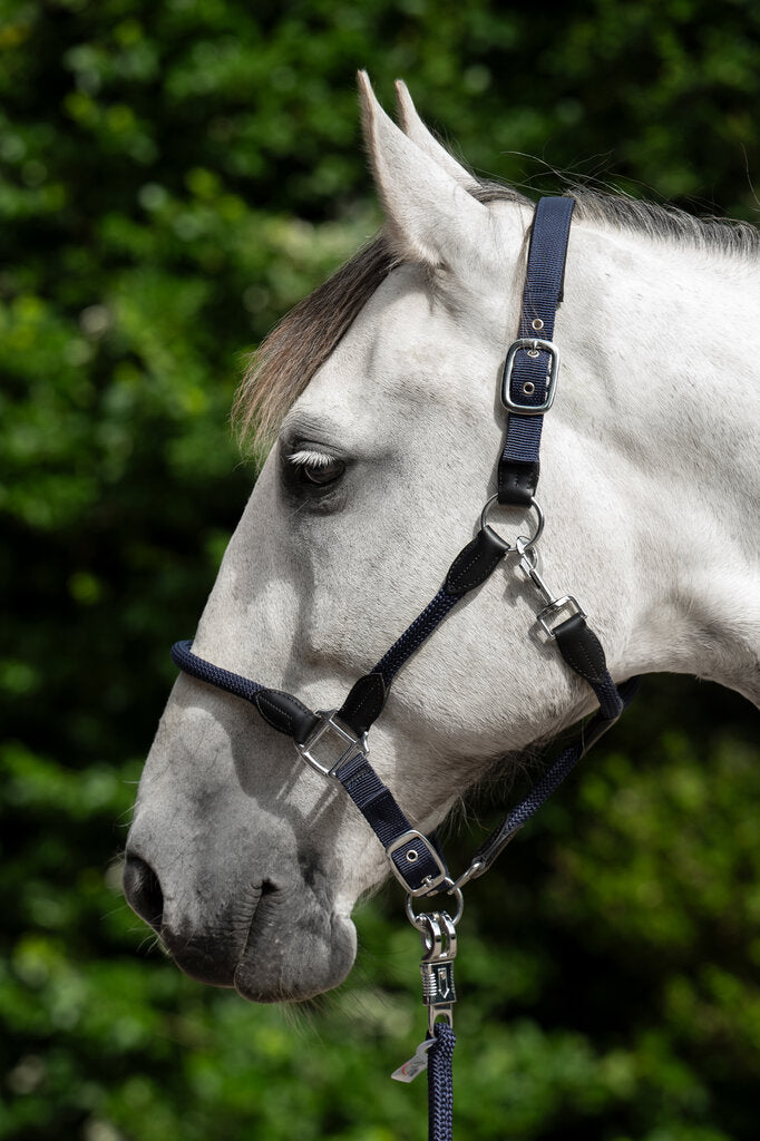 HKM Carlotta Head Collar - JPC Equestrian.com