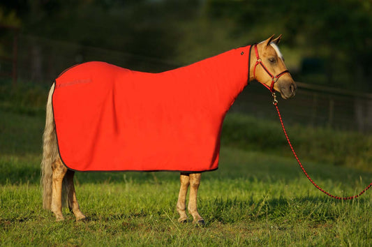 Big D Polar Fleece Cooler