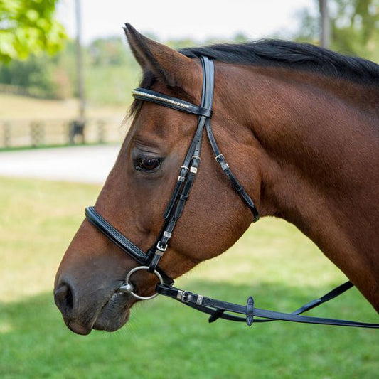 Henri de Rivel Clincher Bridle