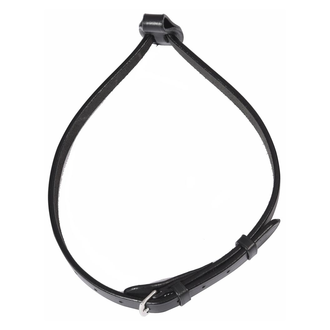 Henri de Rivel Pro Flash Noseband with Converter