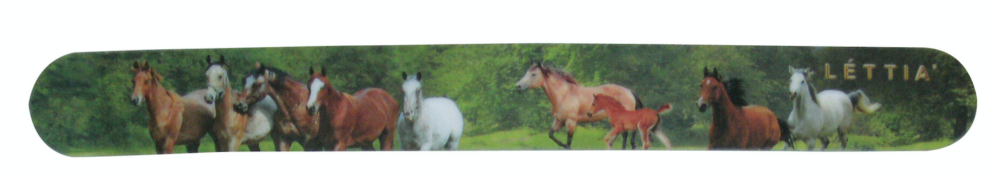 Lettia Nail File- JPC Equestrian.com