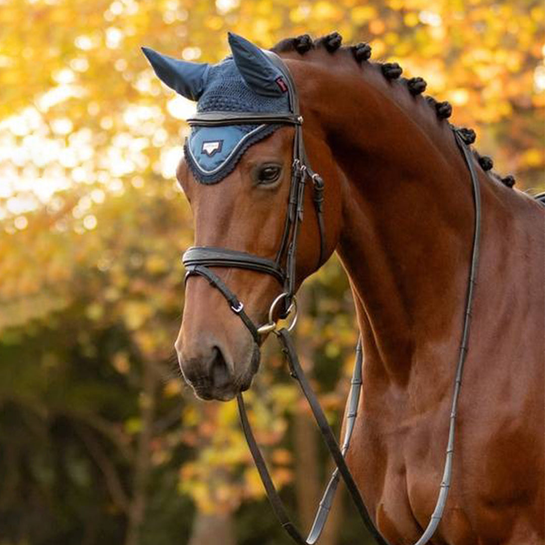 LeMieux Loire Fly Hood