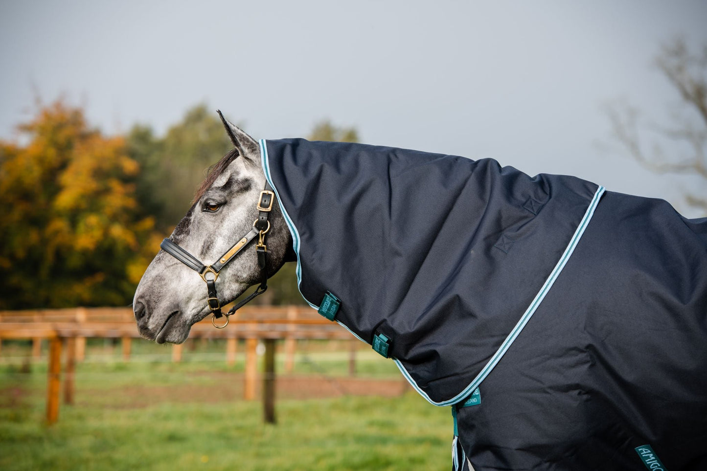 Horseware Ireland Amigo® Bravo 12 Plus Turnout (250g Medium) - Breeches.com