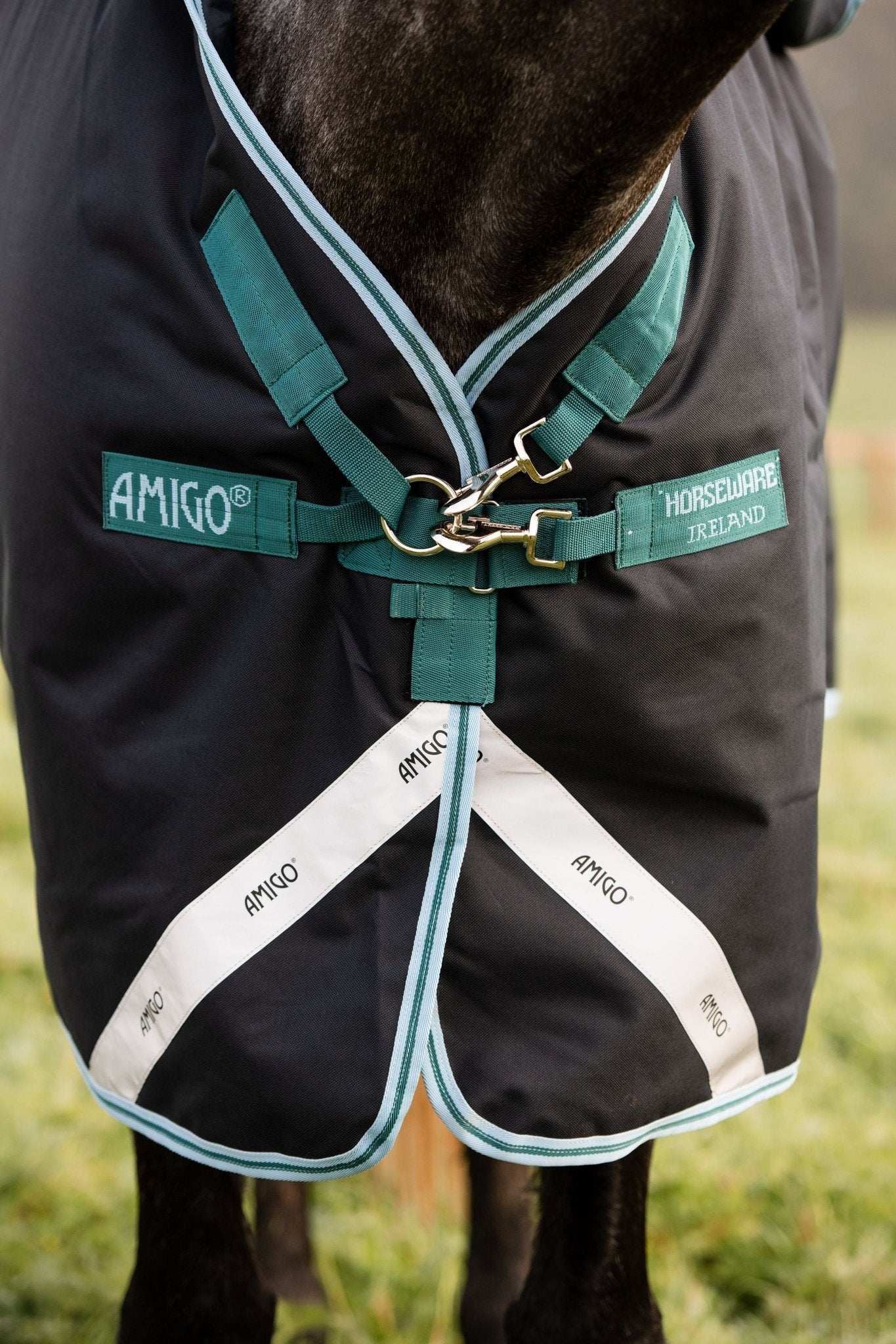 Horseware Ireland Amigo® Bravo 12 Plus Turnout (250g Medium) - Breeches.com