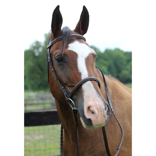 Henri de Rivel Pro Fancy Raised Bridle With Laced Reins