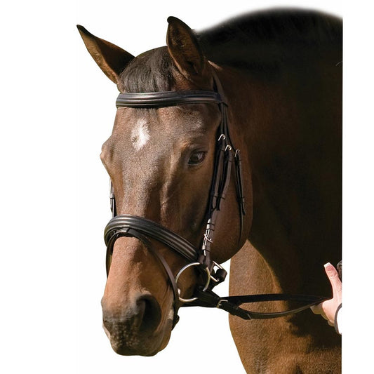 Henri de Rivel Pro Padded Raised Dressage Bridle with Crank Flash Noseband with Web Reins