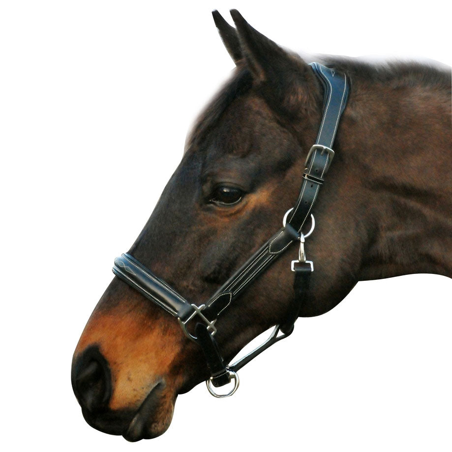 Henri de Rivel Stress Free Halter With Fancy Contrast Stitching