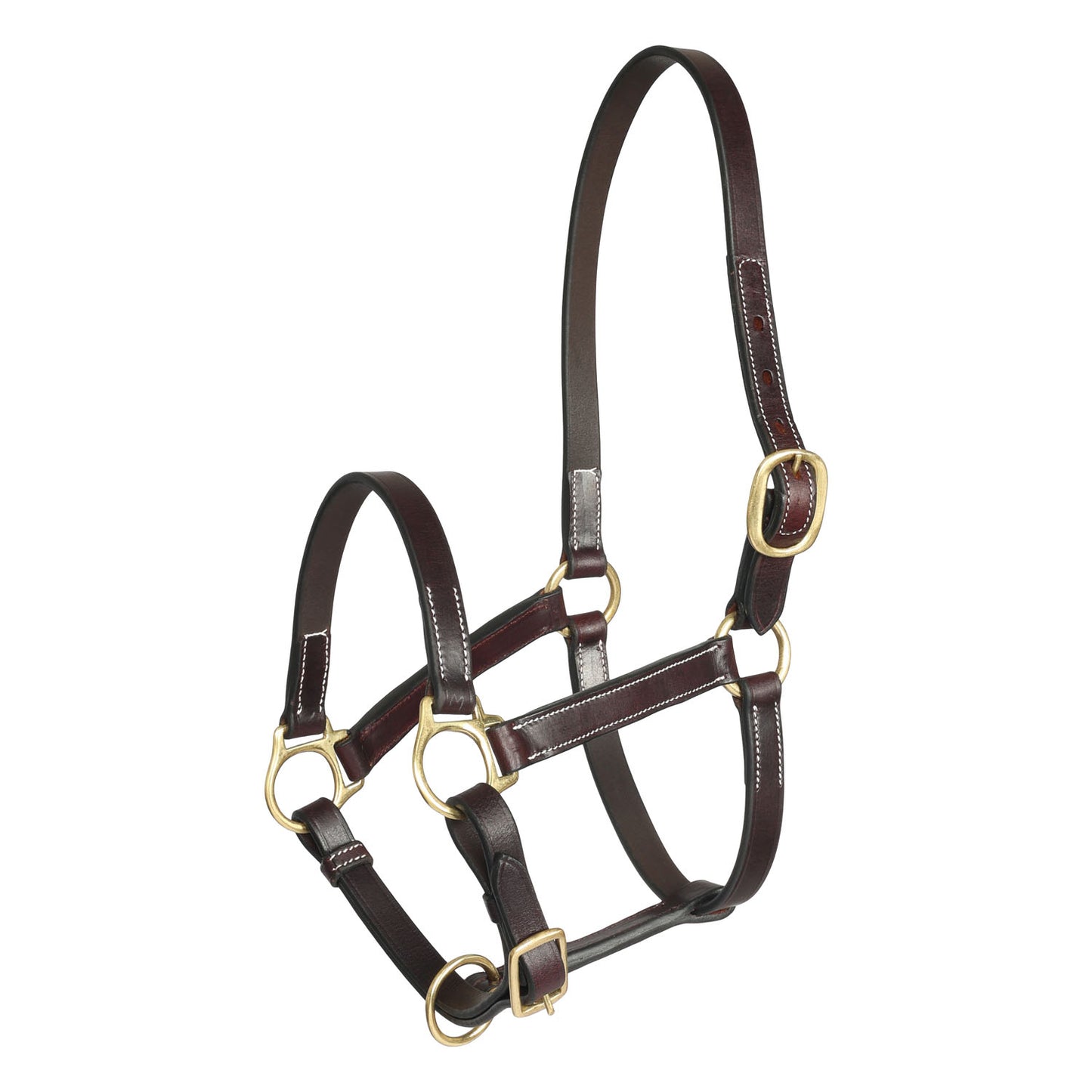 Henri de Rivel Suckling Pre Oiled Leather Halter With White Stitching Without Snap