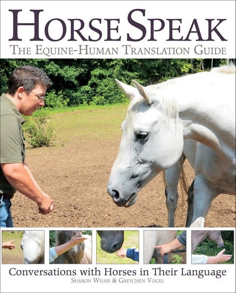 Horse Speak: The Equine-Human Translation Guide