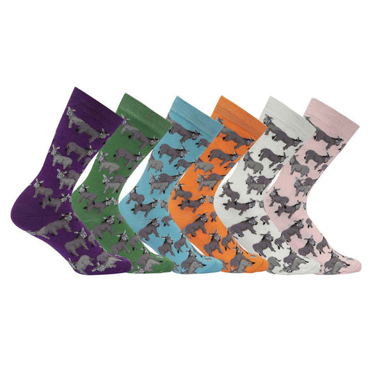 AWST Int'l Donkey Love Socks 6 pack