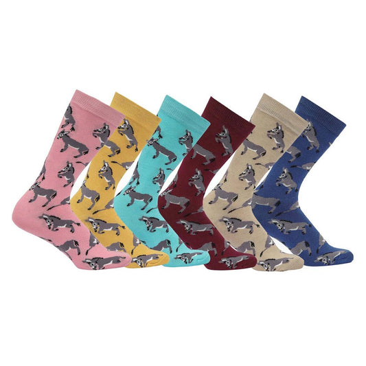 AWST Int'l Playful Donkeys Socks 6 pack
