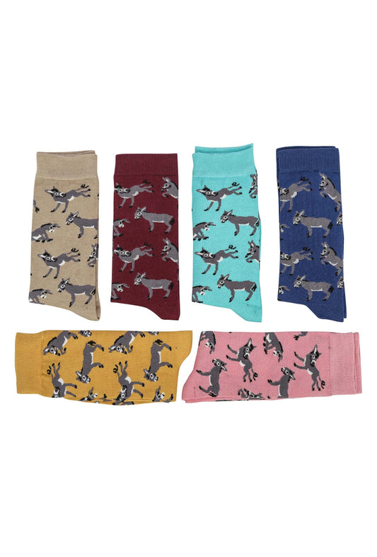 AWST Int'l Playful Donkeys Socks 6 pack