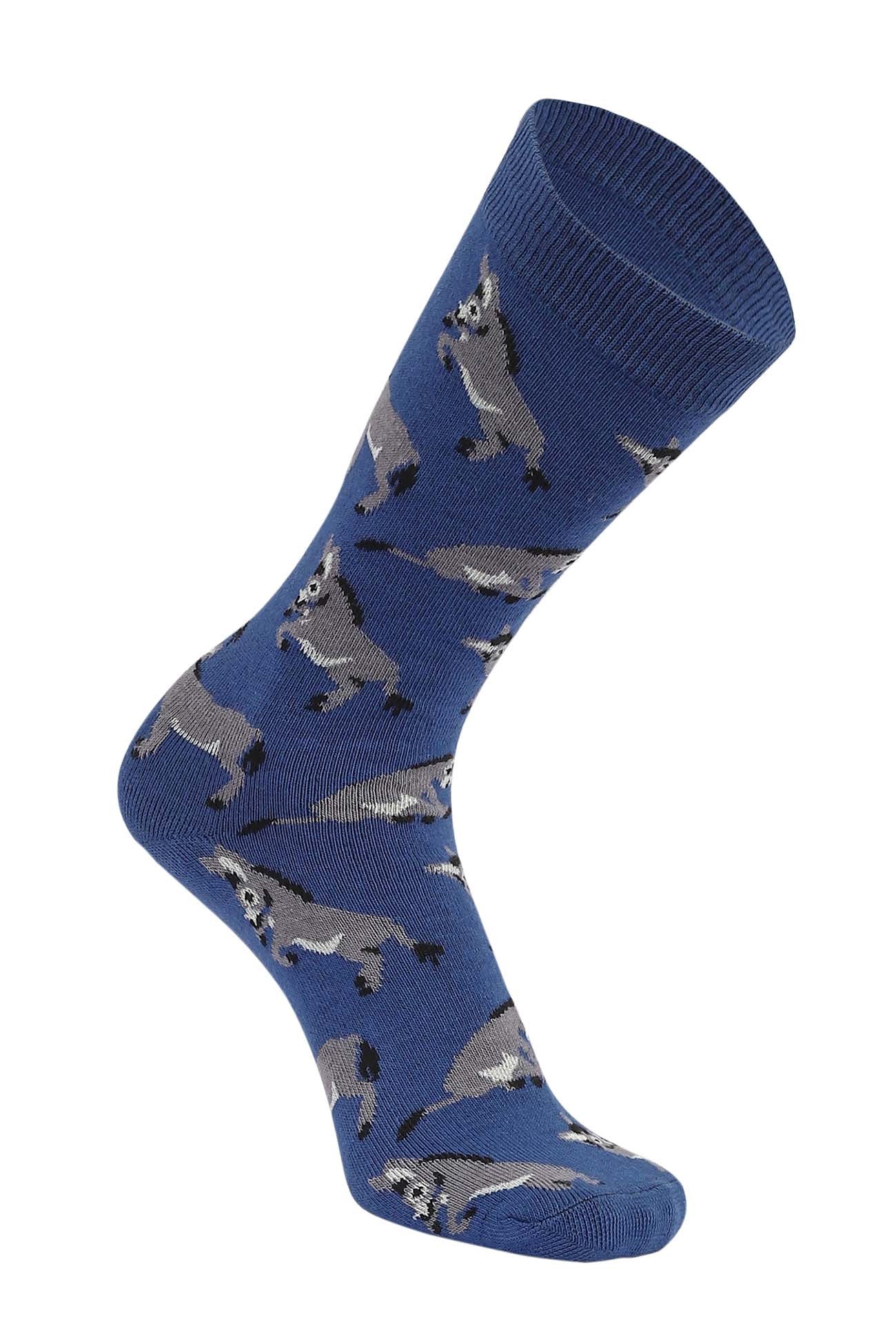 AWST Int'l Playful Donkeys Socks 6 pack