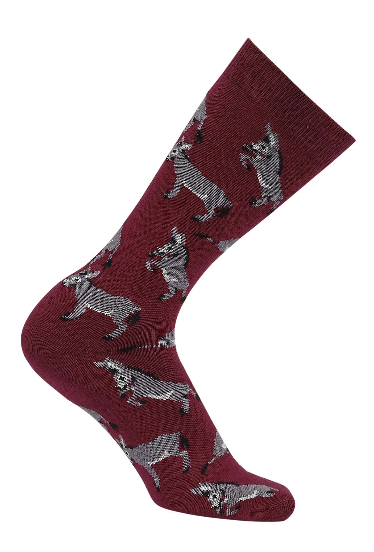 AWST Int'l Playful Donkeys Socks 6 pack