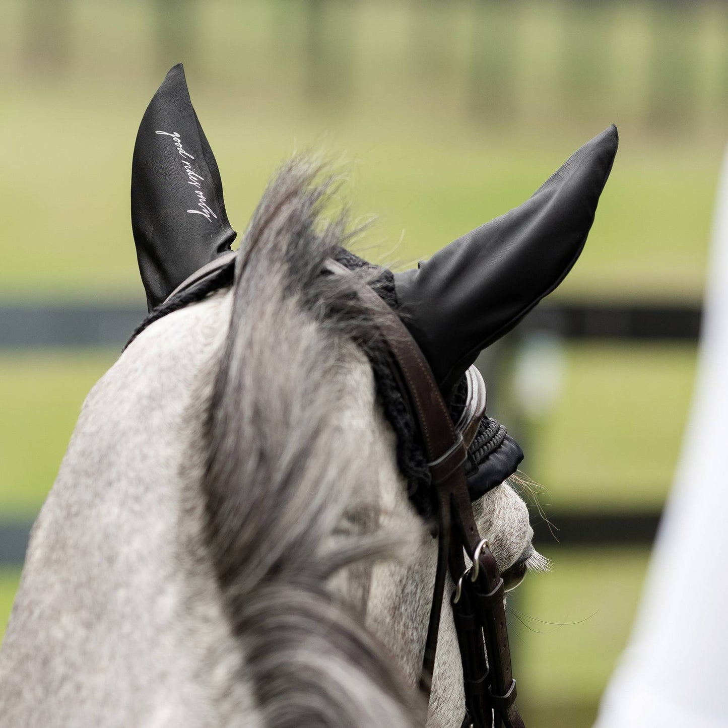 Dapplebay Sport Fly Veil - Black - JPC Equestrian.com
