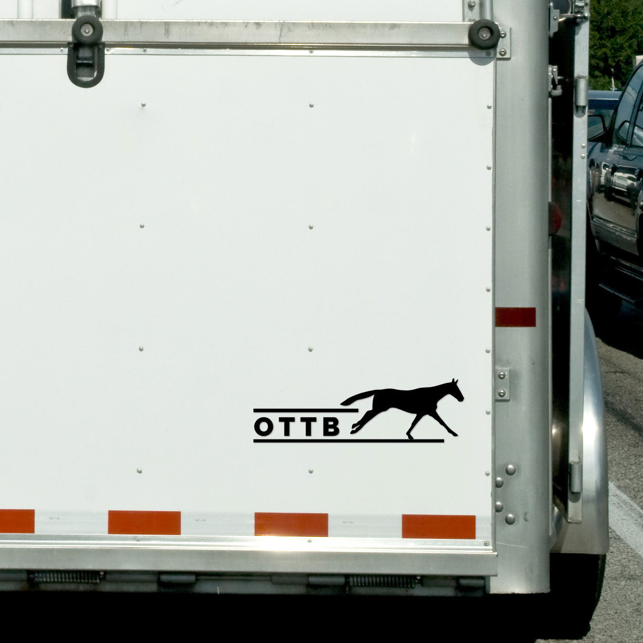 Dapplebay OTTB - Vinyl Decal-White - JPC Equestrian.com