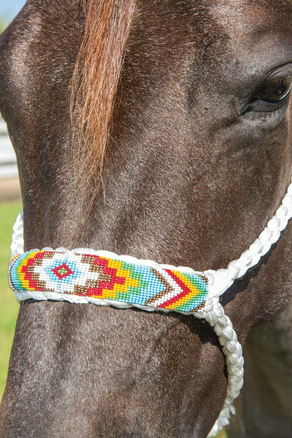 Professionals Choice Cowboy Braided Halter 10' Ld