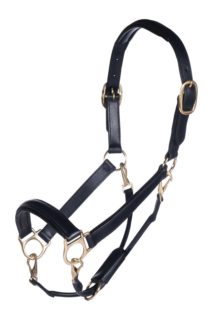 HKM Leather Head Collar - JPC Equestrian.com