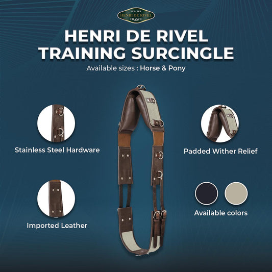 Henri de Rivel Training Surcingle