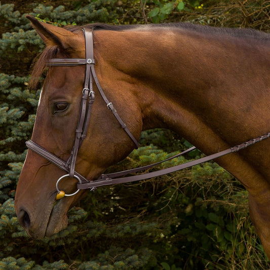 Henri de Rivel Advantage Fancy Raised Padded Bridle With Laced Reins_3