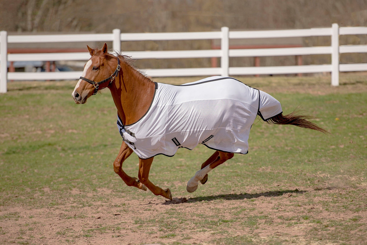 TuffRider Sport CoolMax/Mesh Blend Standard Neck Fly Sheet