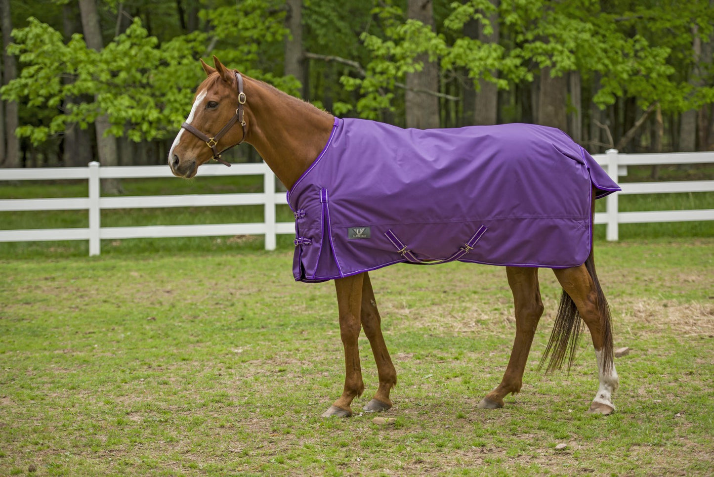 TuffRider 1680 D Super Comfy Winter Turnout Blanket Medium Weight 200 GSM Standard Neck