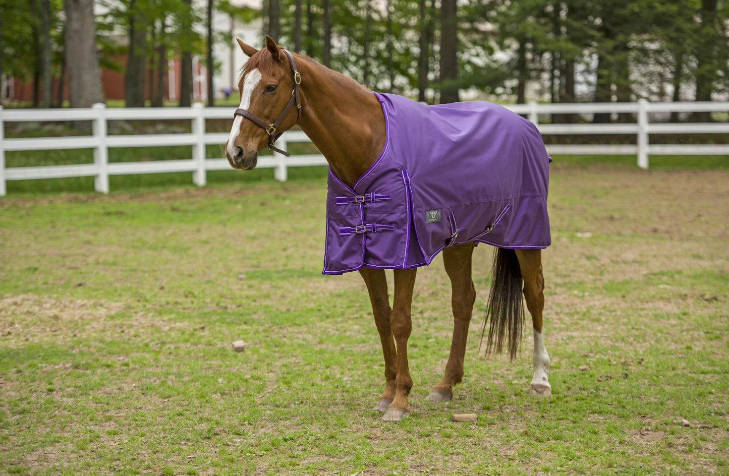 TuffRider 1680 D Super Comfy Winter Turnout Blanket Medium Weight 200 GSM Standard Neck