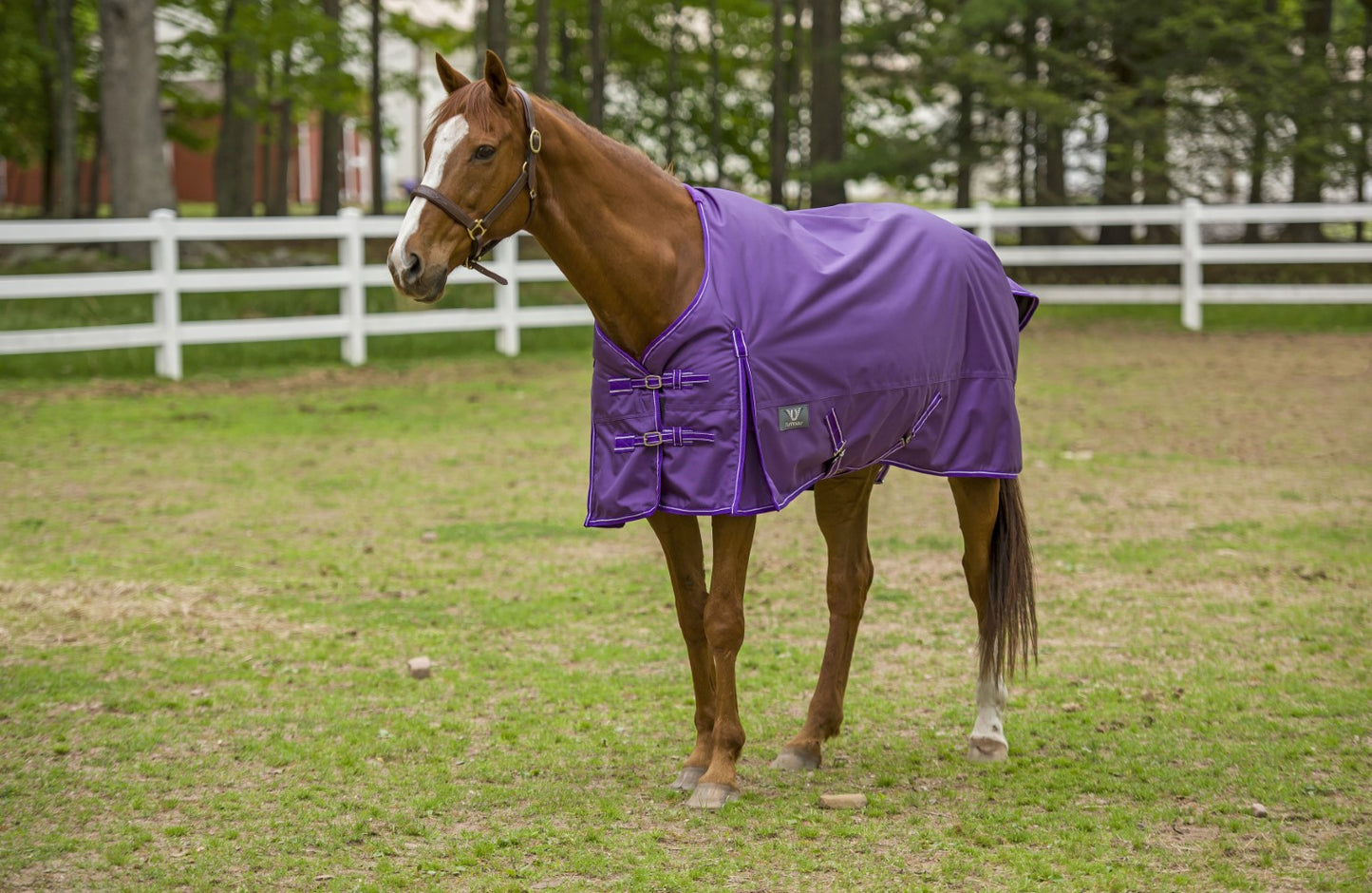 TuffRider 1680 D Super Comfy Winter Turnout Blanket Medium Weight 200 GSM Standard Neck