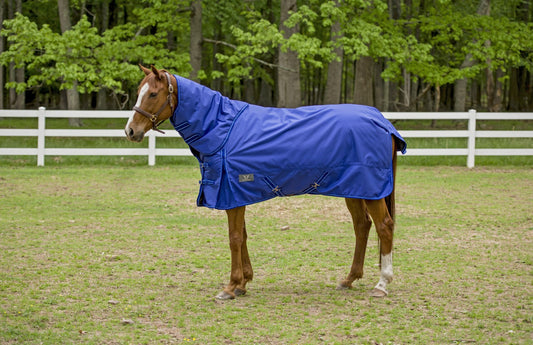 TuffRider 1680 D Super Comfy Winter Turnout Blanket Heavy Weight 350 GSM Detachable Neck