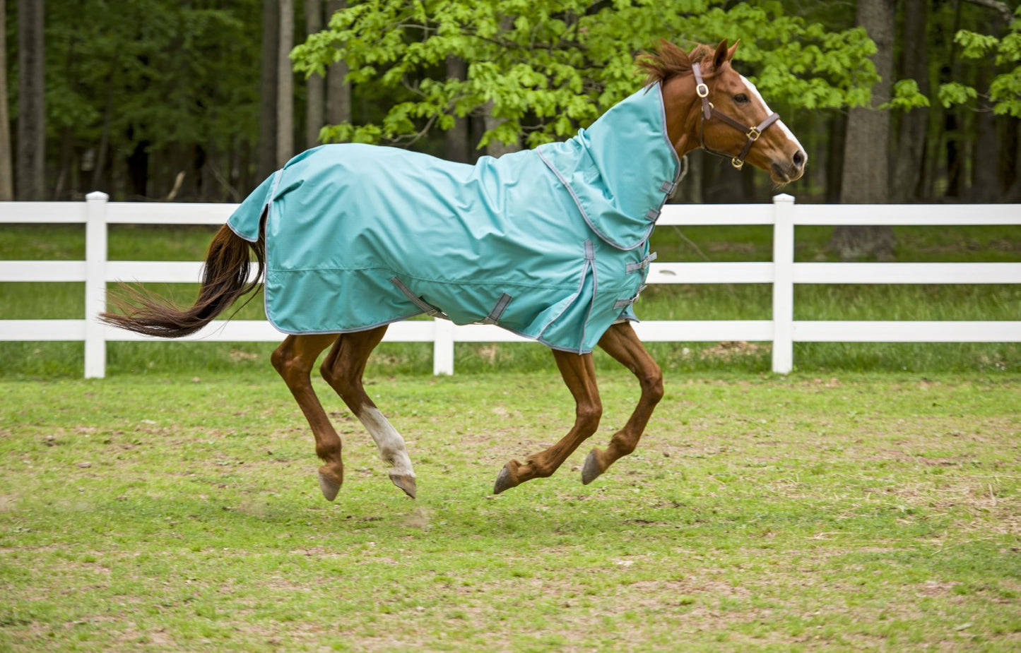 TuffRider 1200 D Comfy Detachable Neck Turnout Sheet