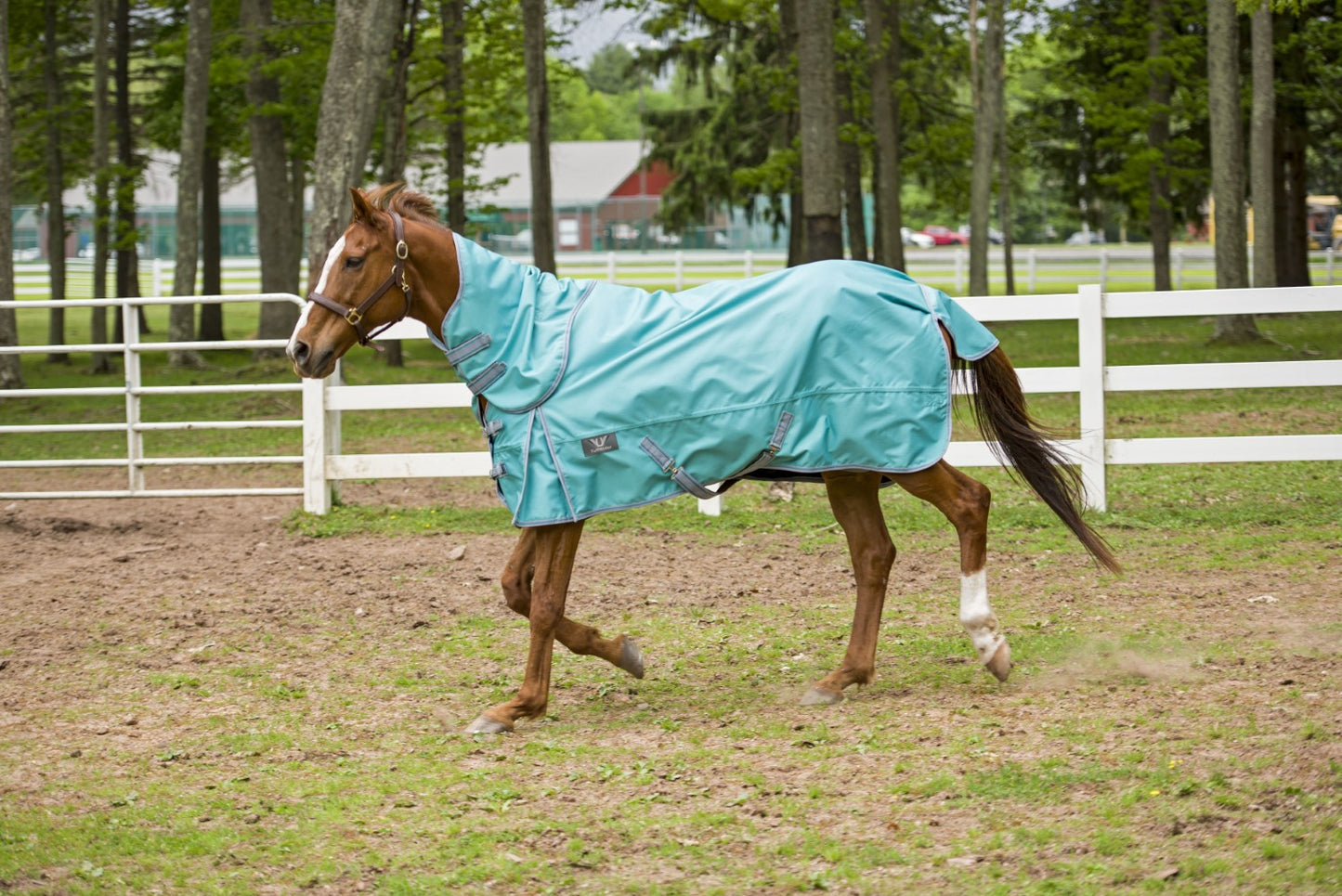 TuffRider 1200 D Comfy Detachable Neck Turnout Sheet