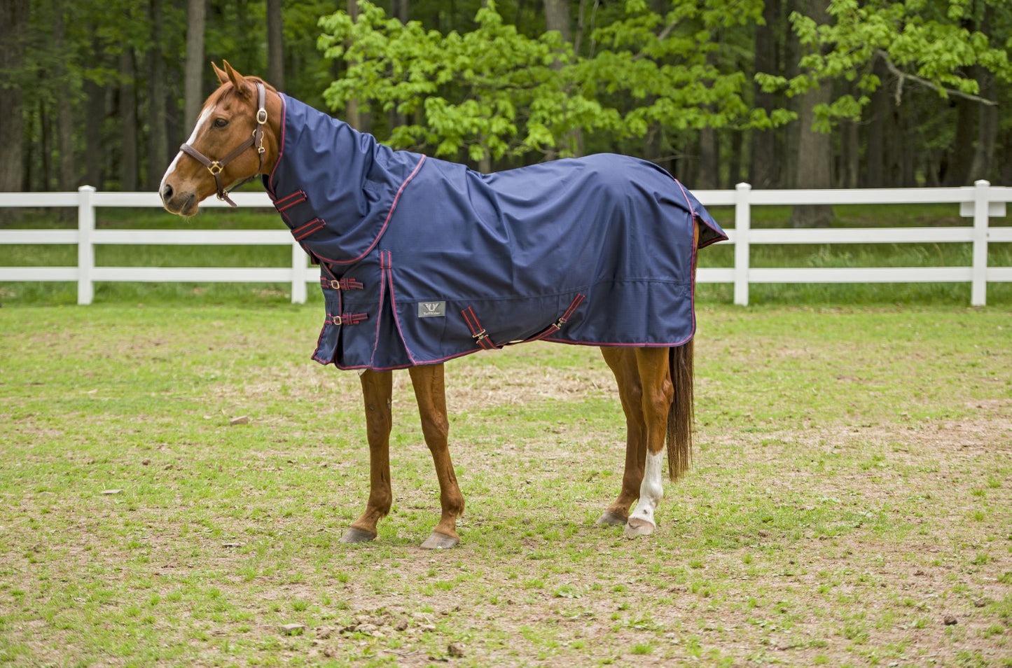 TuffRider 1200 D Comfy Detachable Neck Turnout Sheet