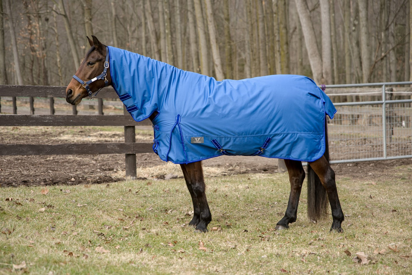 TuffRider 600 D COMFY WINTER MEDIUM WEIGHT TURNOUT BLANKET W/ COMBO NECK 200 GSM