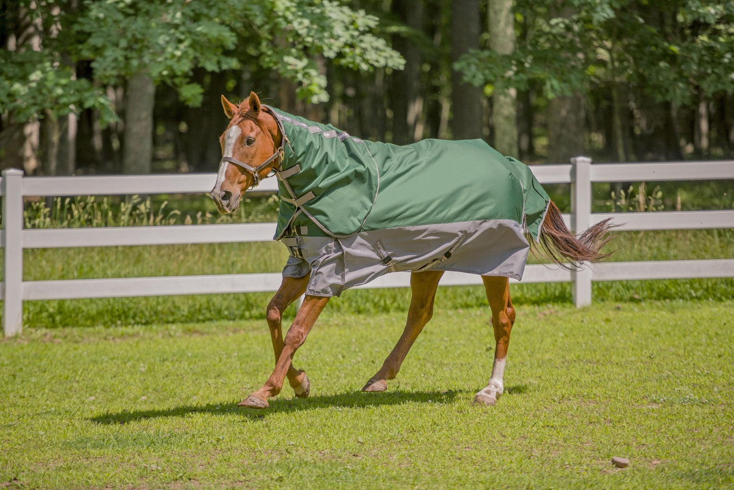 TuffRider Bonum 1200D Medium Weight Detachable Neck Two Tone Turnout Blanket w/ 200GSM of fill