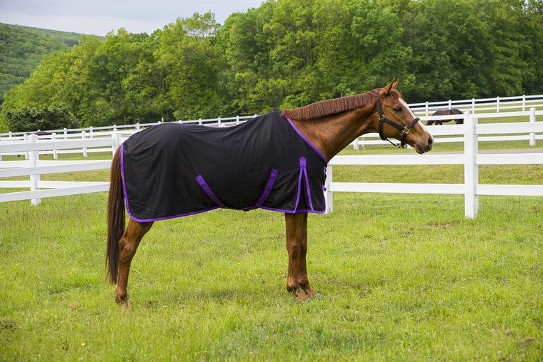 Tuffrider Kozy Komfort Stable Sheet_5823