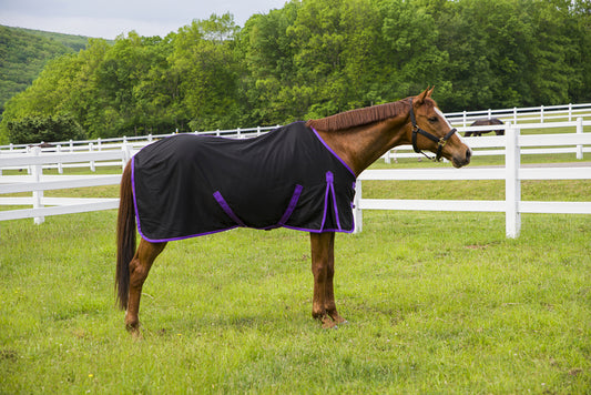 Tuffrider Kozy Komfort Stable Sheet_5823