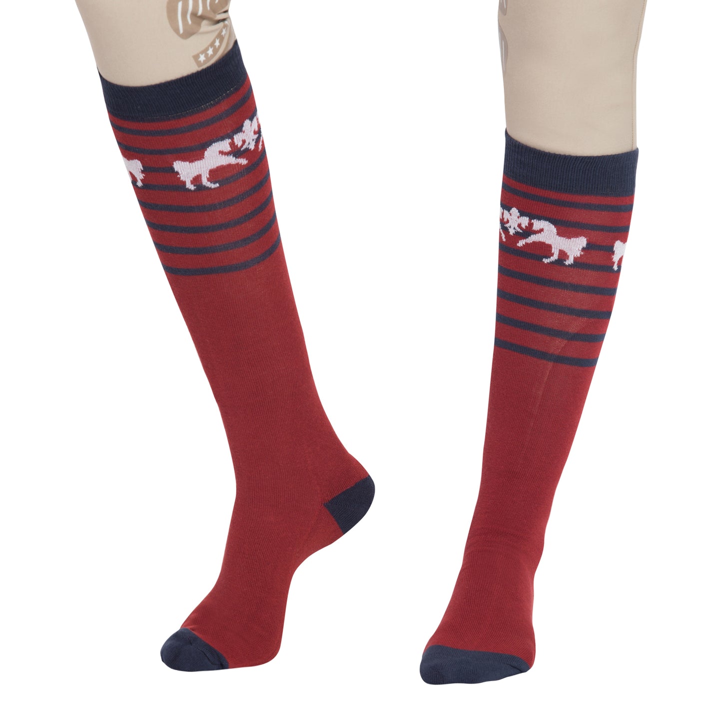 Equine Couture Sam Unisex Knee Hi Socks - 3 Pack_1760