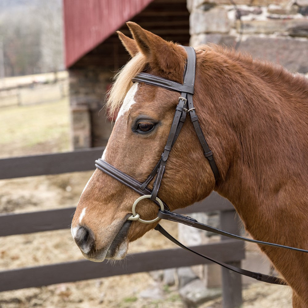 Henri de Rivel Pro Mono Crown Padded Bridle
