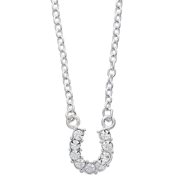 AWST Int'l Aqua Rhinestone Horseshoe Necklace w/ Horse Head Gift Box