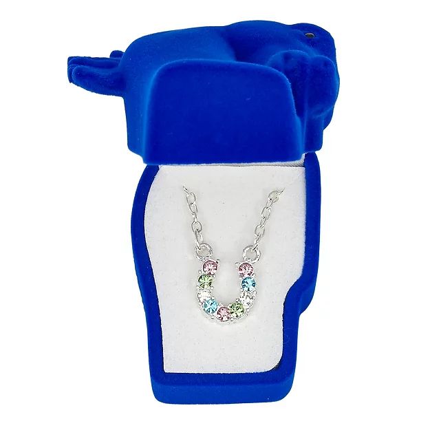 AWST Int'l Aqua Rhinestone Horseshoe Necklace w/ Horse Head Gift Box