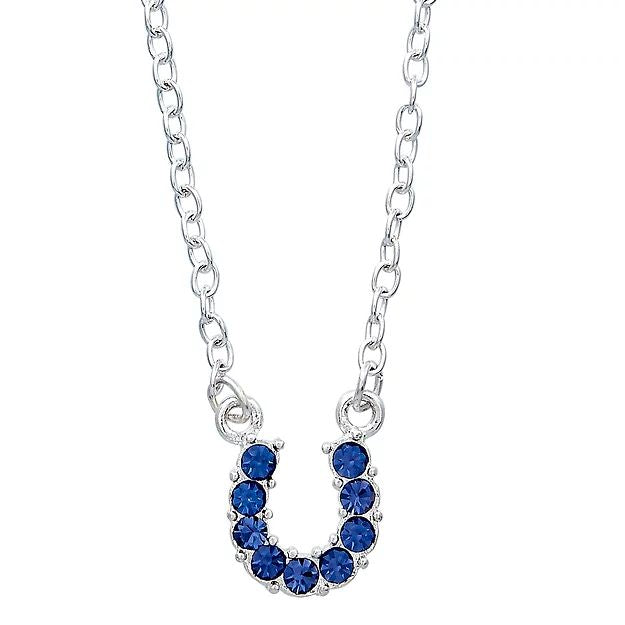 AWST Int'l Aqua Rhinestone Horseshoe Necklace w/ Horse Head Gift Box